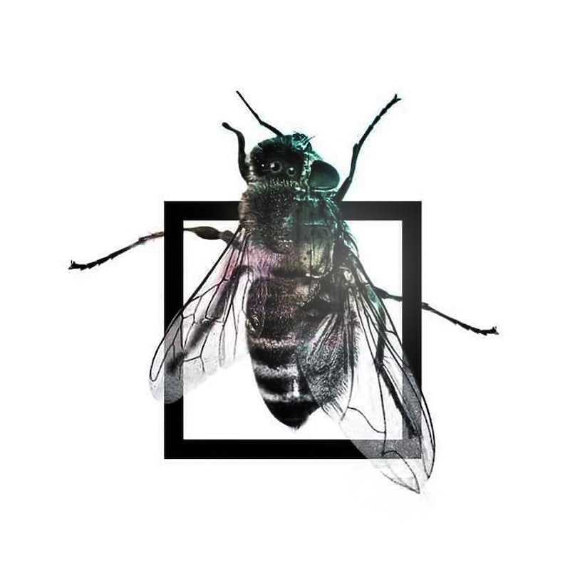 We released a song titled "Multiverse," which conveys the concept of good and bad.